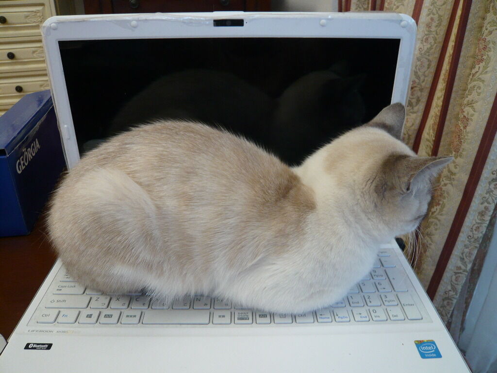 イメージ 3