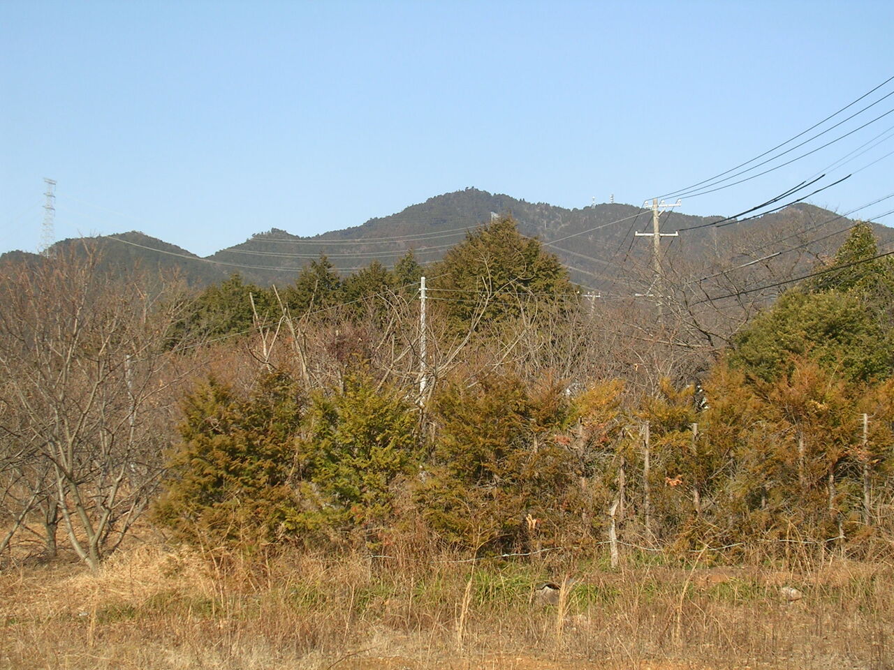 イメージ 1
