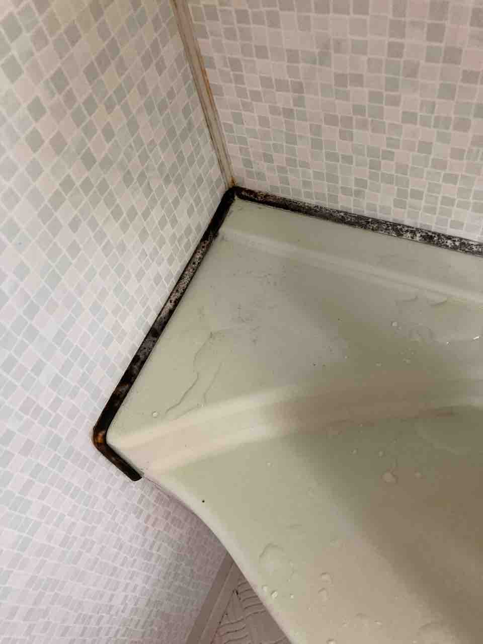 浴室のカビとりに挑戦 小さな町の旧車スローライフ 浴室のカビとりに挑戦 小さな町の旧車スローライフ
