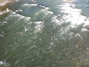1741d66f.jpg