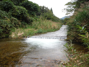 DSCF9934