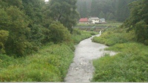 saved_file_1756854656805