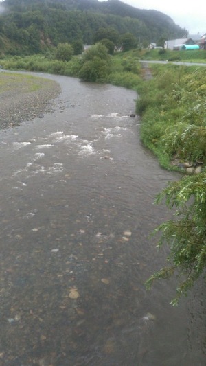 saved_file_1756855199955