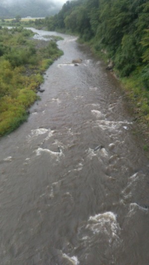 saved_file_1756854667198