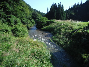 DSCF8709