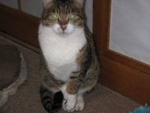 a6d24cd2.jpg