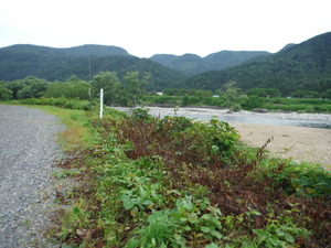 DSCF8524