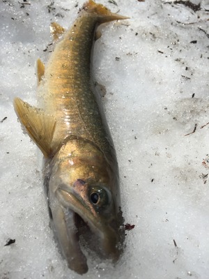 4E780673-AAE8-4F67-B352-E2464229EAFE