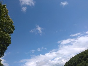 b4bd63a2.jpg