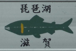DSCF8716