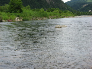 c06c08bc.jpg