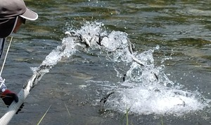 DSC_6377~2