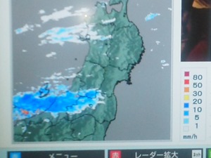 ecaf1163.jpg