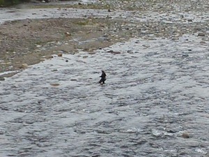 f53774e8.jpg