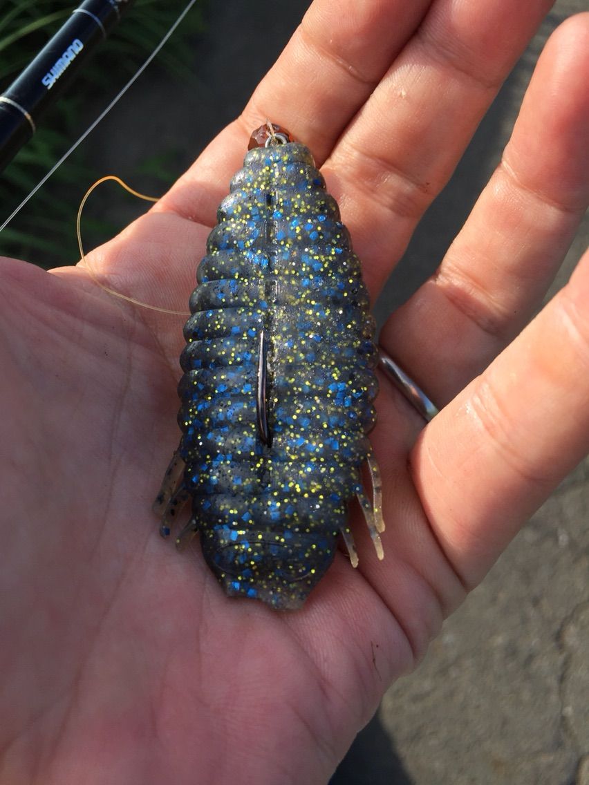 8 22 つり かい つりのぶろぐ 霞ヶ浦水系 利根川水系 水郷 ブラックバス釣り