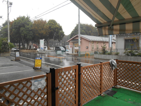DSCN8262