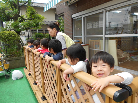 園芸うさぎ
