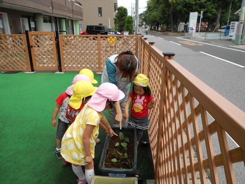 なす2