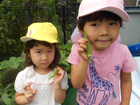 DSCN4551