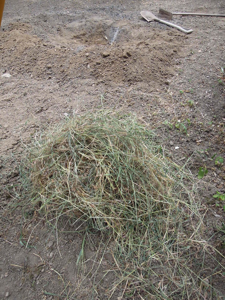 取った草の処分の仕方2 腐葉土 堆肥を作るよ イナカモノのイナカグラシ 取った草の処分の仕方2 腐葉土 堆肥を作るよ イナカモノのイナカグラシ