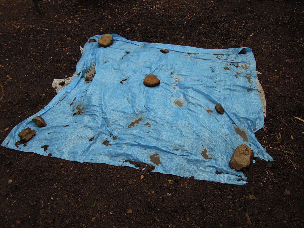 100均 ダイソー ブルーシートの雨水避け効果 追記有り イナカモノのイナカグラシ