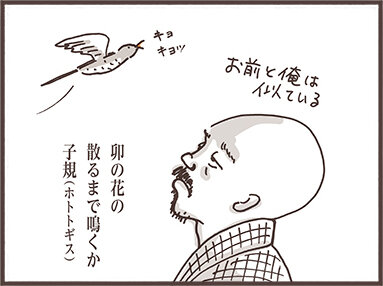 159 ホトトギス 田舎暮らしのこたすぎさんとキィちゃん