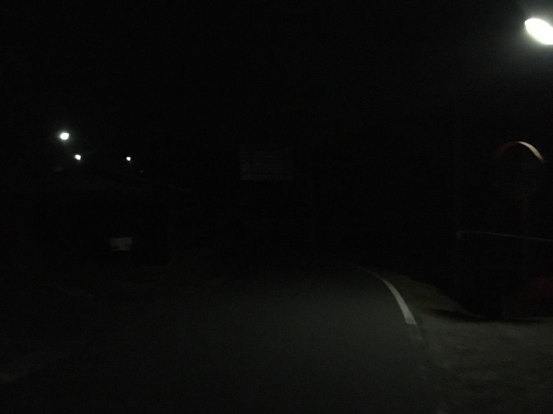 田舎での夜ランは危険だ B Bear 新卒で限界集落に移住した若者の話 田舎での夜ランは危険だ B Bear 新卒で限界集落に移住した若者の話