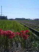 �Ĥ�ܤμ̿�9��20��