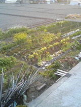 �ļ���餷����1