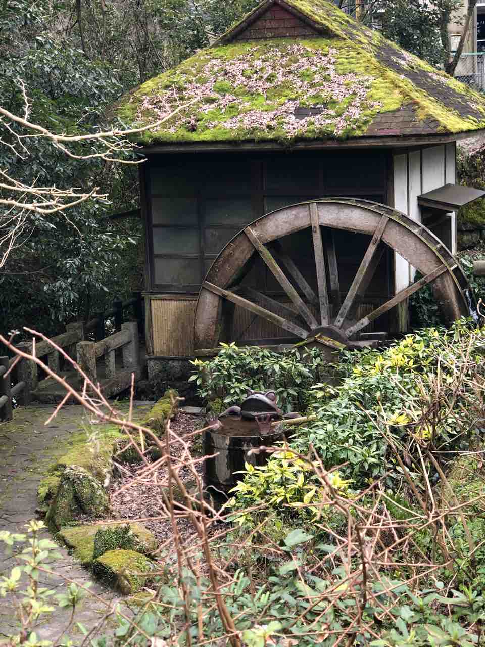 田舎暮らしsaga ジブリの世界観 田舎暮らしsaga ジブリの世界観