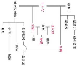 藤原光明子家系図