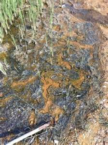 ϻ�����������α����ھ�