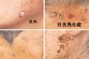 ϻ��������������