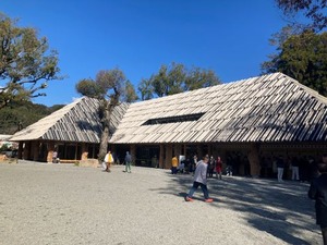 IMG_0595