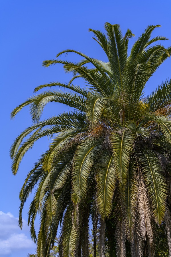 _NZ76279