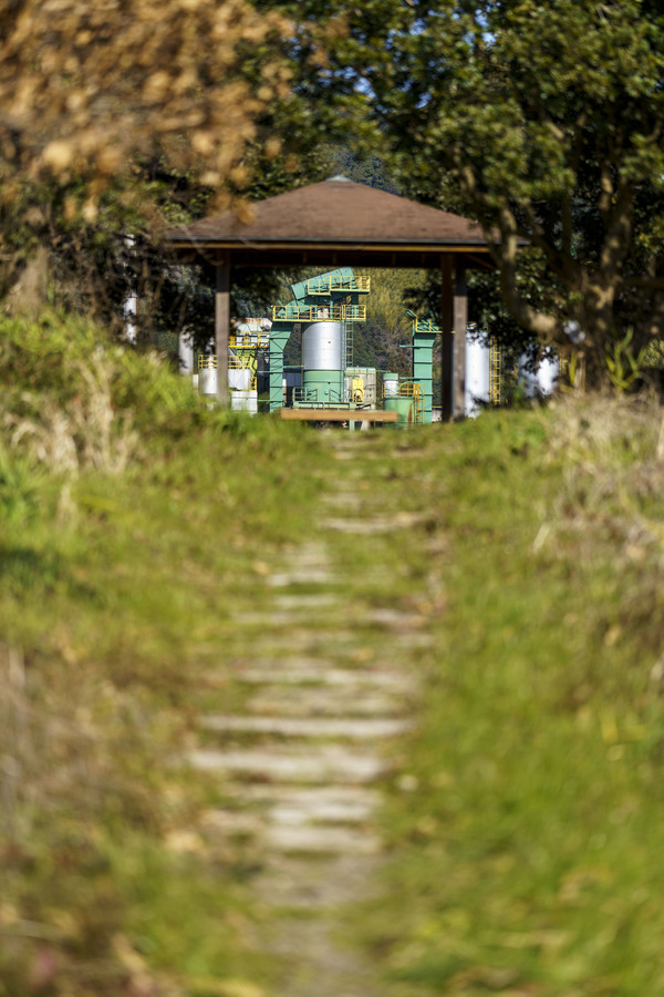 20200211-_DSC2655