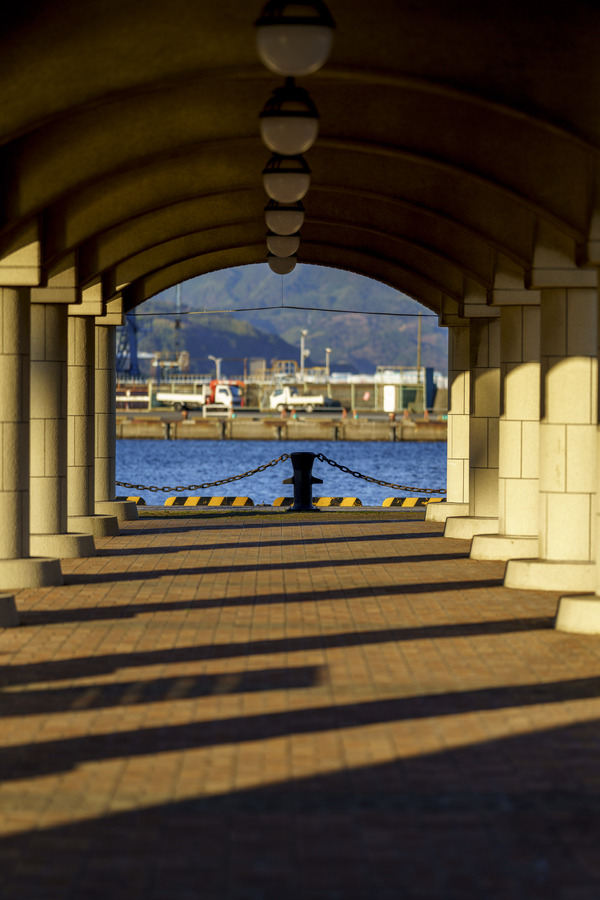 20200205-_DSC1314