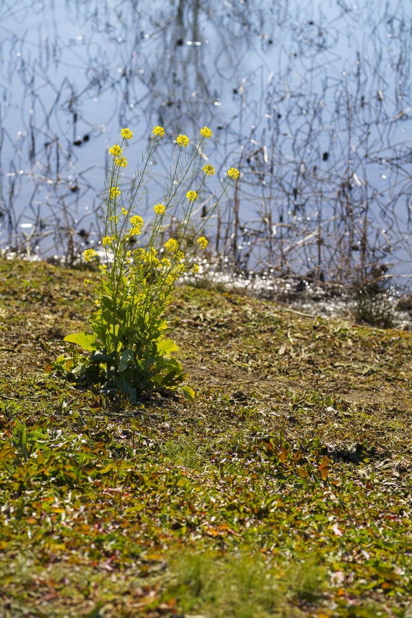20200211-_DSC2357