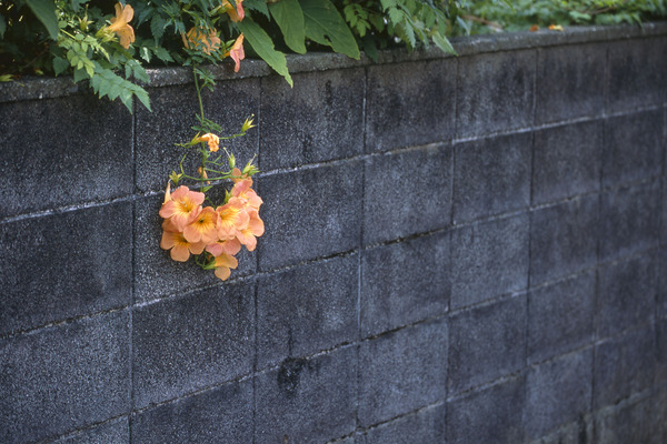 EDP3-20130820-27