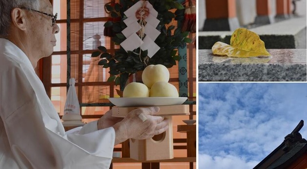250807