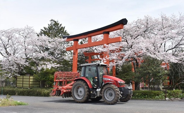 260419