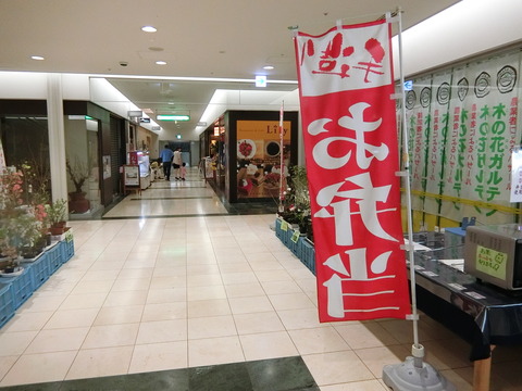 CIMG0110