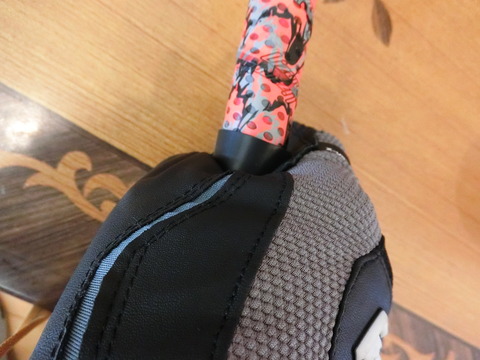 CIMG1377