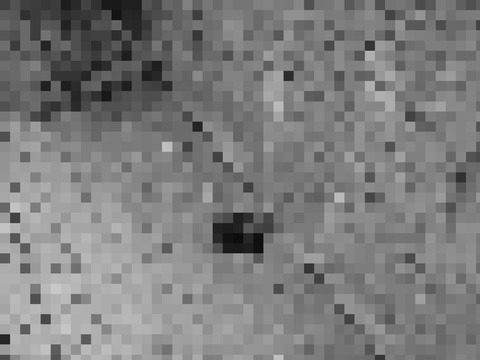 2025_1101_1358_56352