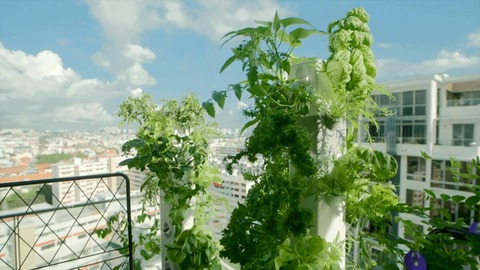 Aerospring+Balcony+Gardeninng+-+1200