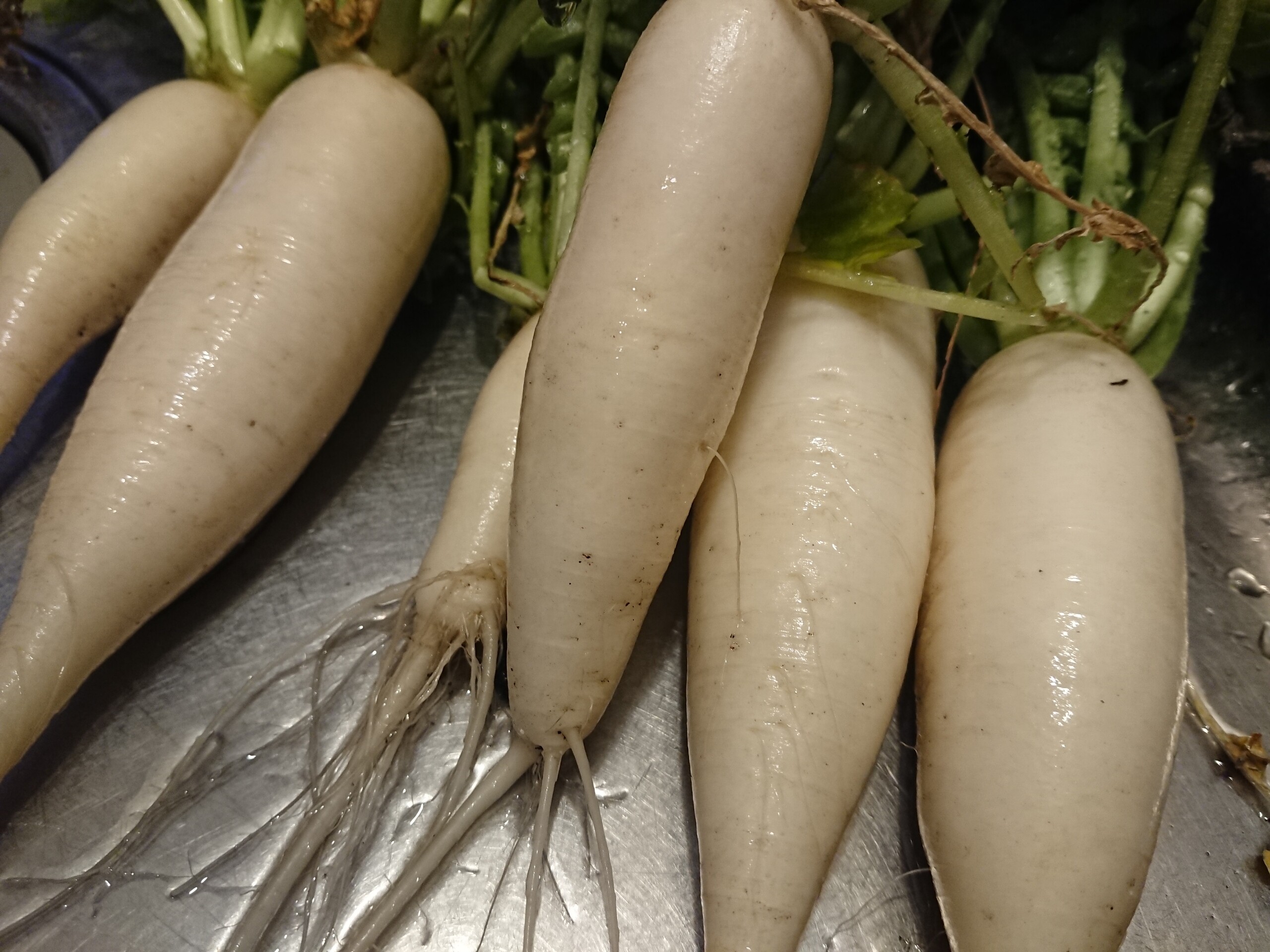 おでん大根 の 素晴らしい食いかたに気付いた俺が素晴らしい By ま そういうこったい Xp