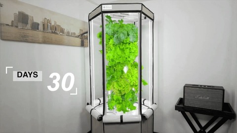 1200+-+Aerosrping+Indoor+Grow+Fast