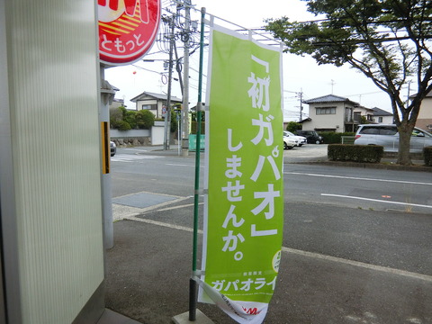 CIMG4585