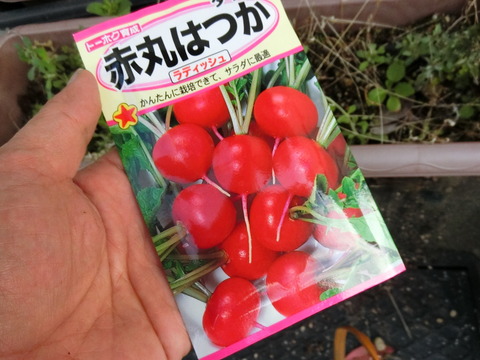 CIMG0245