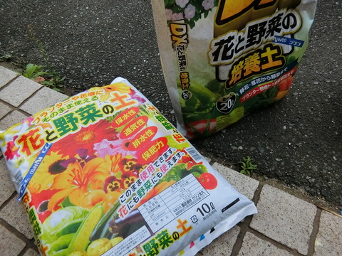 CIMG3244